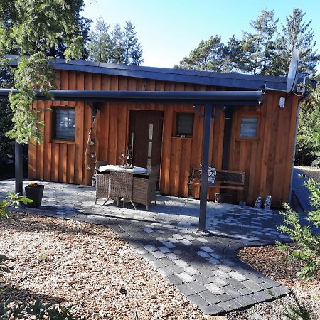 Ferienhaus Leon Mit Sauna Rehburg-Loccum Zewnętrze zdjęcie