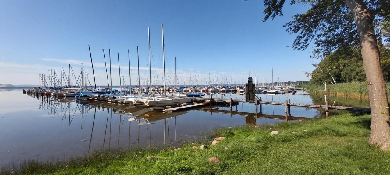 Ferienhaus Leon Mit Sauna Rehburg-Loccum Zewnętrze zdjęcie