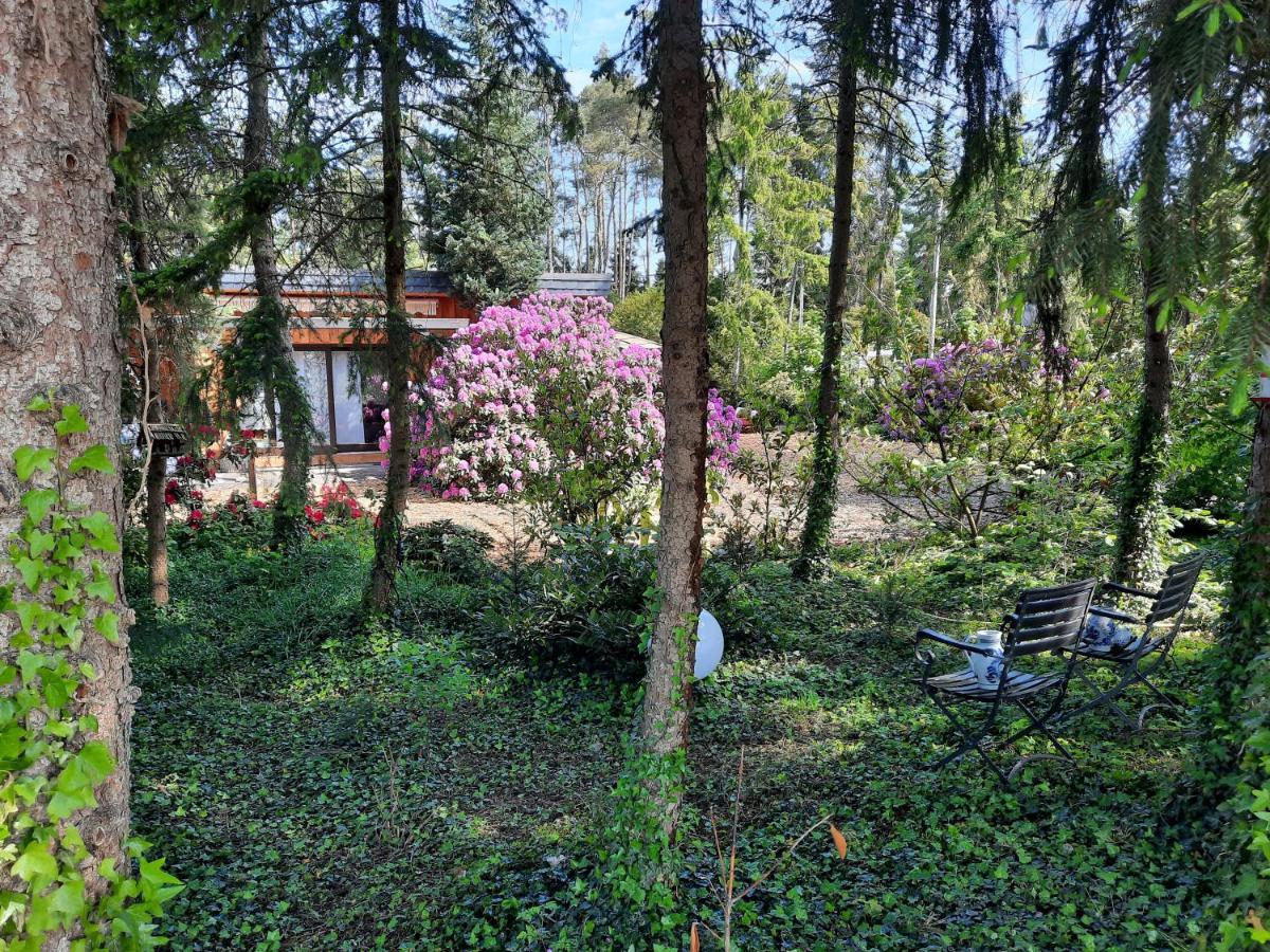 Ferienhaus Leon Mit Sauna Rehburg-Loccum Zewnętrze zdjęcie