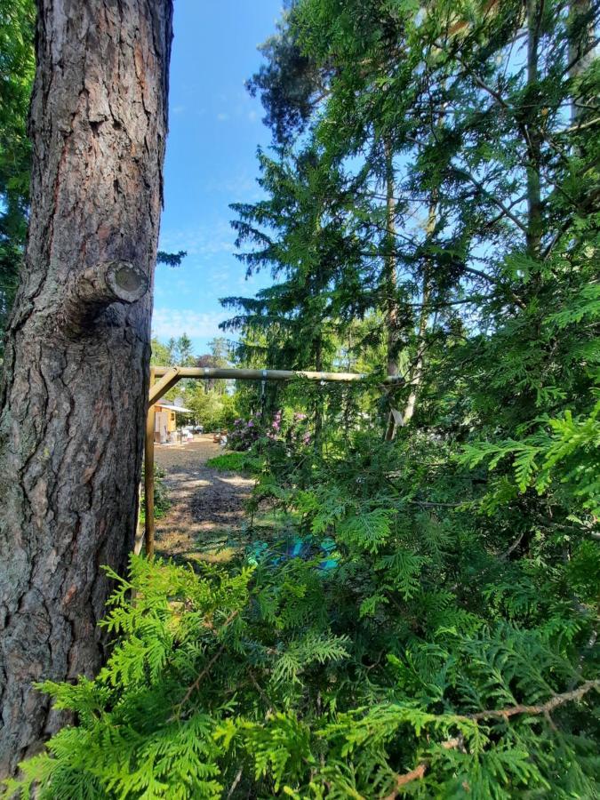 Ferienhaus Leon Mit Sauna Rehburg-Loccum Zewnętrze zdjęcie