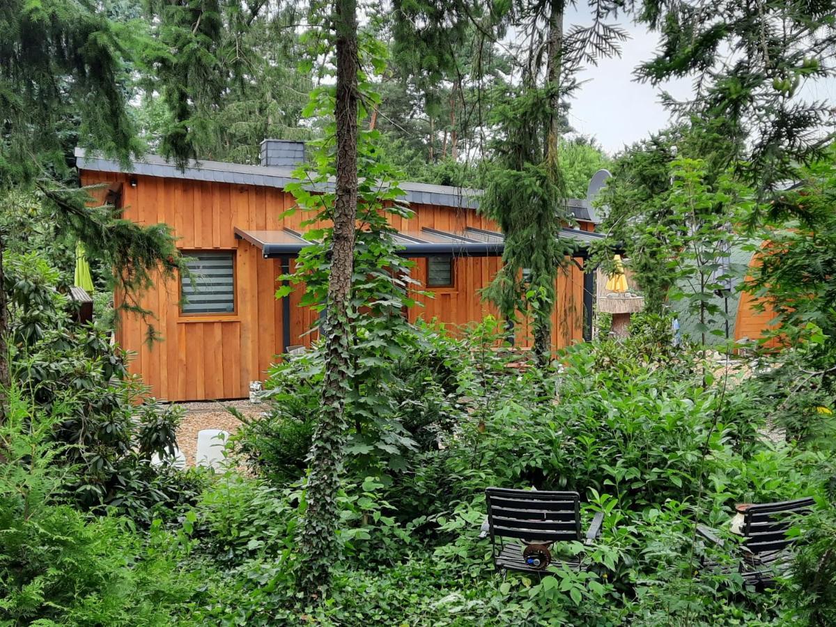 Ferienhaus Leon Mit Sauna Rehburg-Loccum Zewnętrze zdjęcie