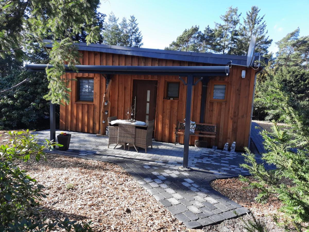 Ferienhaus Leon Mit Sauna Rehburg-Loccum Zewnętrze zdjęcie