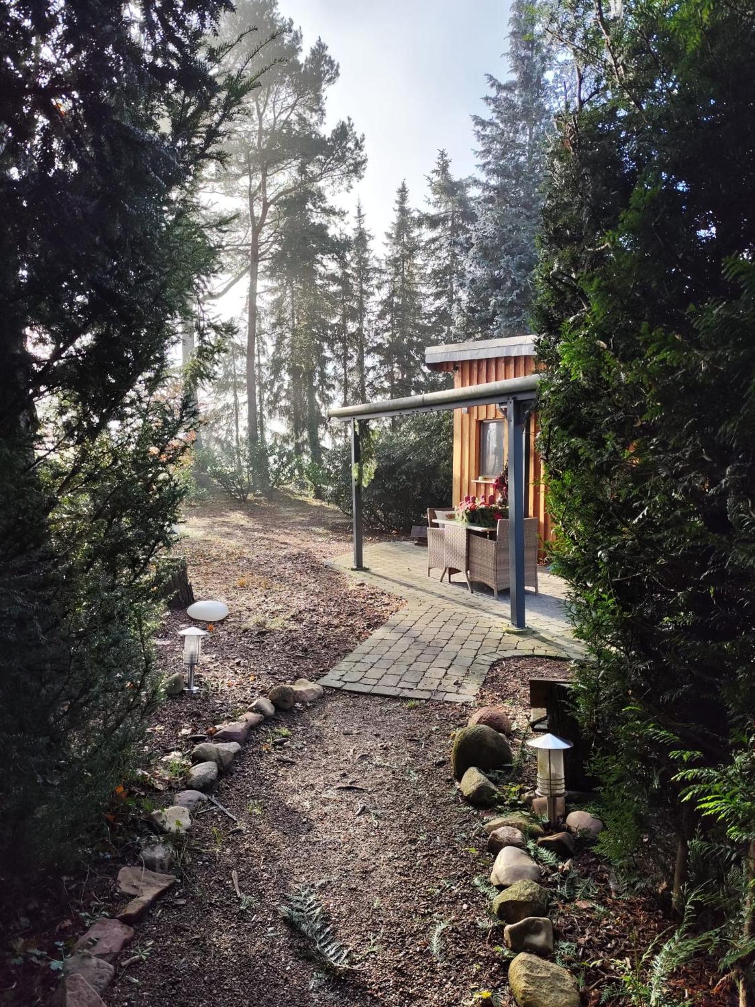 Ferienhaus Leon Mit Sauna Rehburg-Loccum Zewnętrze zdjęcie